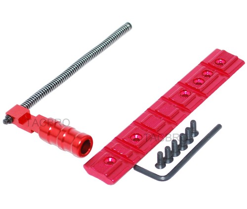 Ruger 1022 charging - ruger,