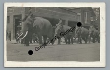 RPPC CIRCUS Elephants Parade