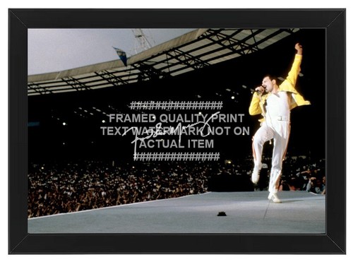 Freddie mercury signed photo - freddie,