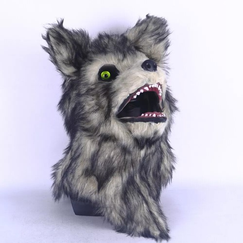 Opening moving mouth dog - mouth,