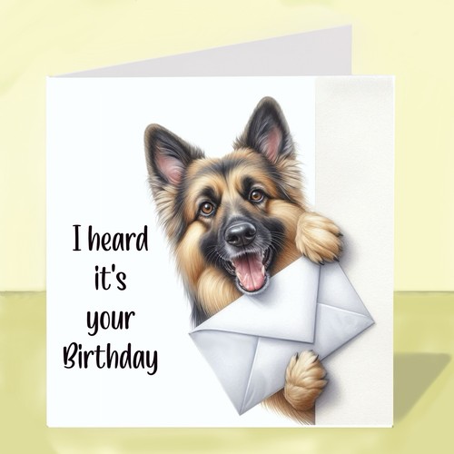 German shepherd dog - german,