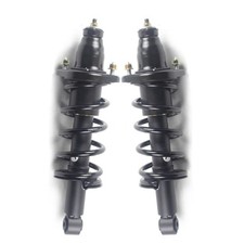 Rear Complete Shock Strut Coil