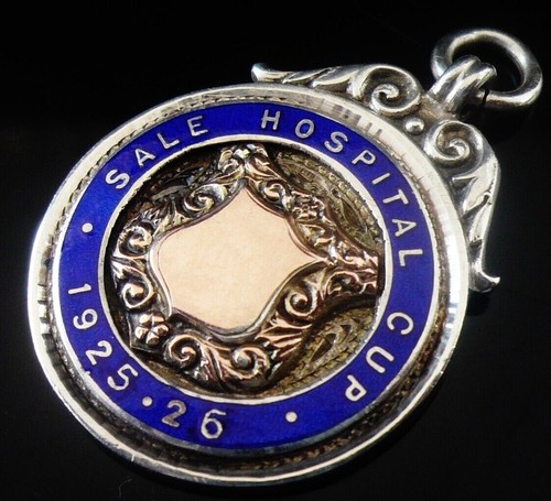 Sterling silver gold enamel - sterling,