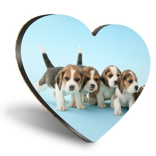 Heart mdf coasters - heart, beagle