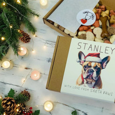 Frenchie Xmas Gift - YOUR DOG