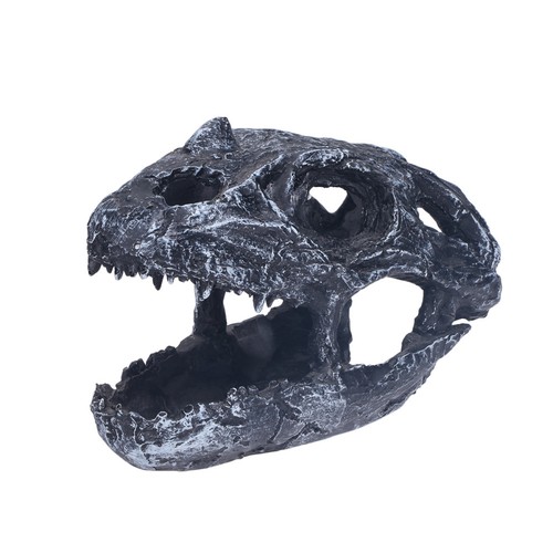 Reptile accessories terrarium - reptile,