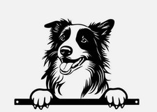 Border Collie Dog Fence Topper