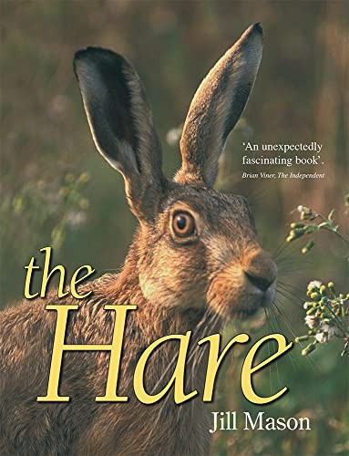 The hare jill - by, mason