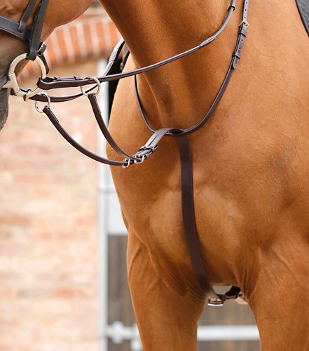 Premier equine santadi - premier,