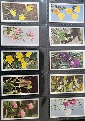 Brooke bond tea cards wild - cards,