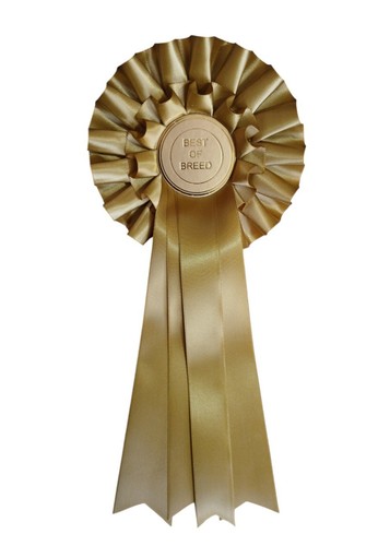 Best breed rosette gold - of,