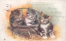 TUCK POSTCARD LOVING BIRTHDAY GREETINGS Cats Kittens Basket