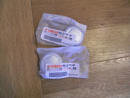 Yamaha fazer fzs1000 swinging - fazer,