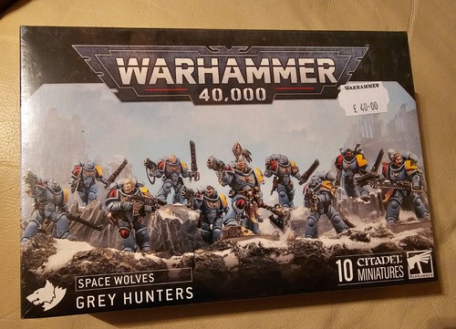 Space wolves grey hunters - wolves:,