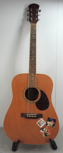 Freshman acoustic guitar - ,