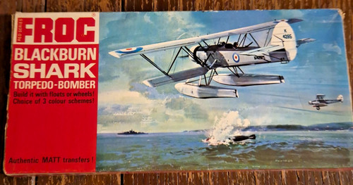 Frog blackburn shark - frog,