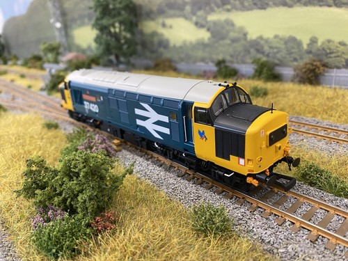 Accurascale class 37420 dcc - accurascale,