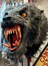 American werewolf london - in,