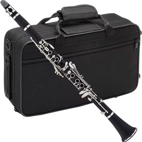 Beginner student clarinet - beginner,