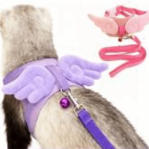 Ferret traction harness pet - traction,