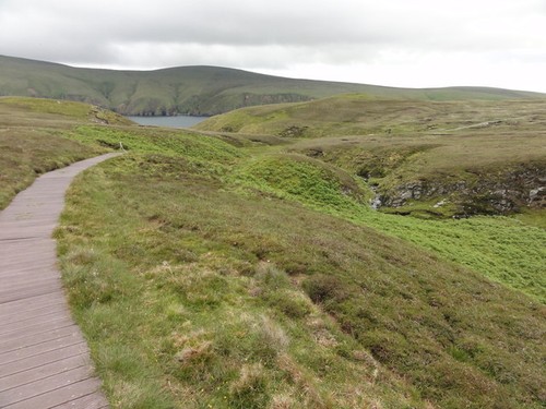 Photo board walk burrafirth - walk,
