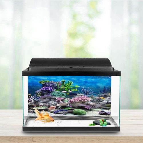 Fish tank decoration poster - fish,