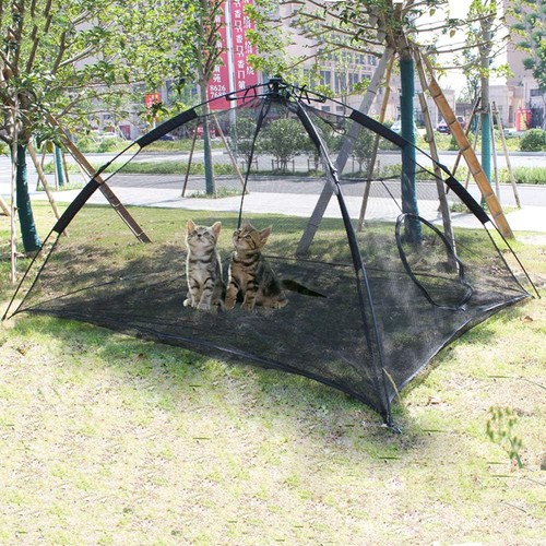 Portable large pop - pop, cat