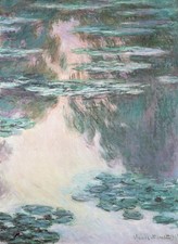 Monet- Water-Lily Pond(2)