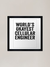 World's okayest Building