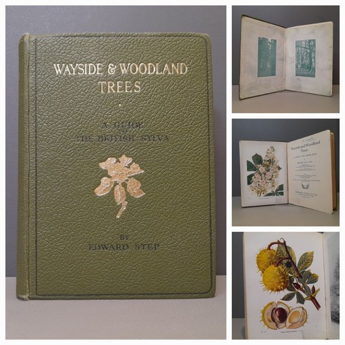 Vintage wayside and woodland - vintage,