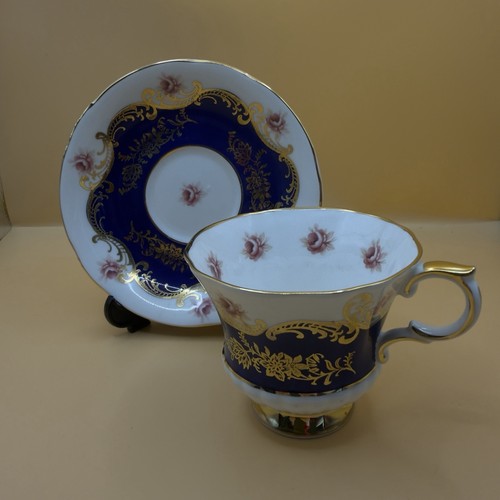 Paragon cobalt blue pink rose - paragon,