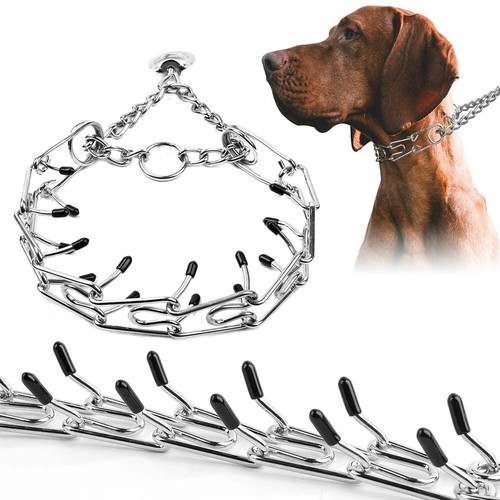 Pet dog training - uk,