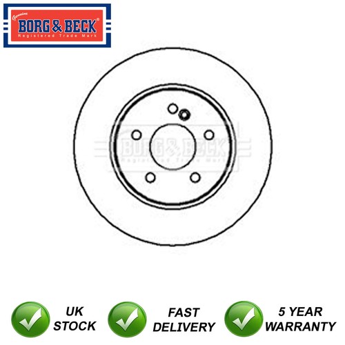 Brake disc rear - rear, borg