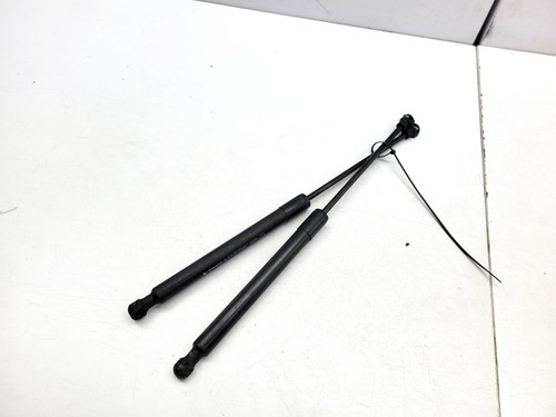 Pair front bonnet gas - pair, of