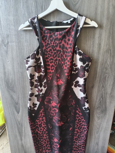 Ladies colour leopard print - ladies,