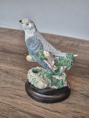 The cuckoo country - cuckoo, bird