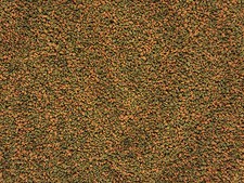 AQUARIUM CHERRY, CRYSTAL RED SHRIMP SNAIL FOOD BLUE TIGER SHRIMP FOOD, SPIRULINA