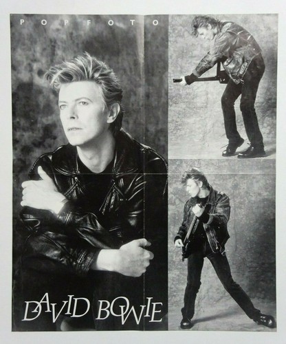 David bowie popfoto poster - bowie,