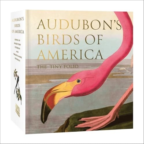 Audubon birds america - birds,