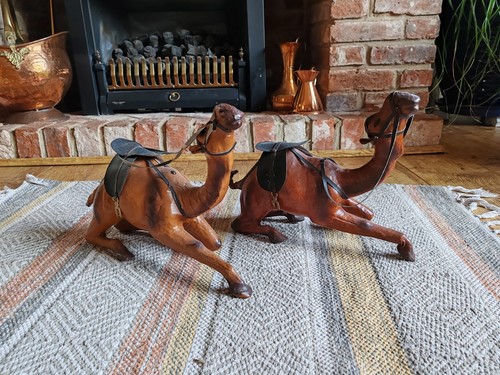 Pair camels - of,