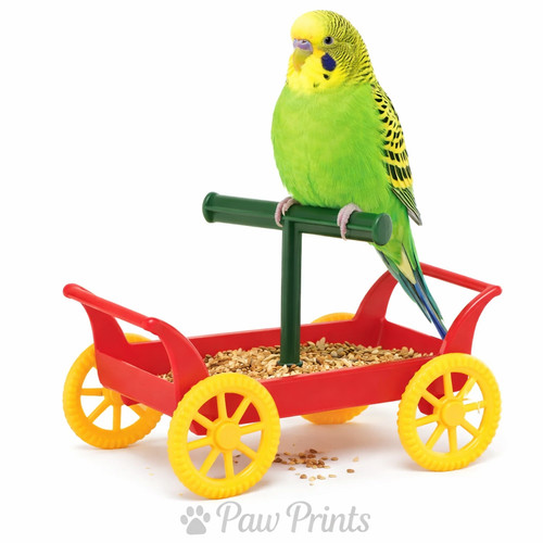 Plastic bird budgie canary - bird,