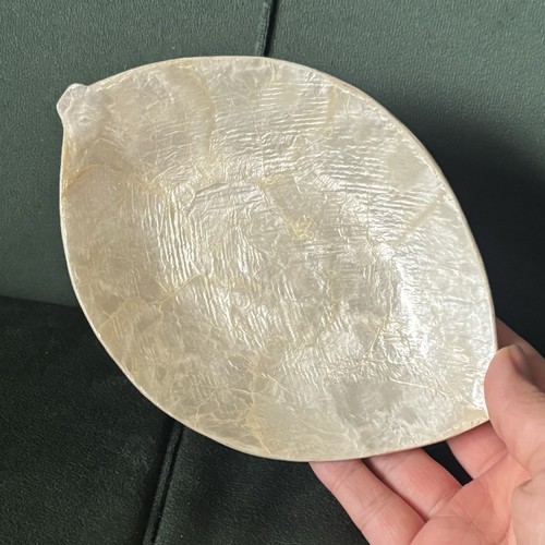 Capiz shell leaf pearlescent - shell,