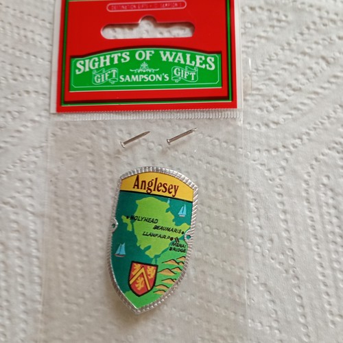 Walking stick badge - walking, badge/mount