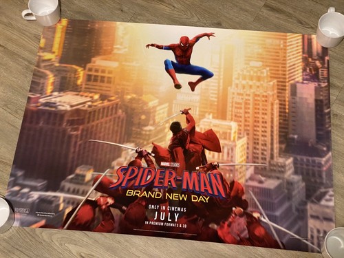 Spider man brand new - brand, day