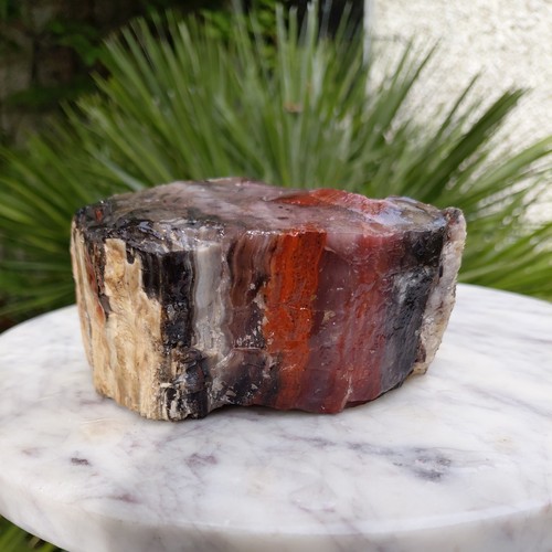 755g million year - 755g, raw