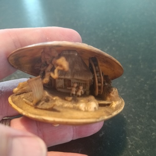 1950s celluloid clam shell - 1950s,