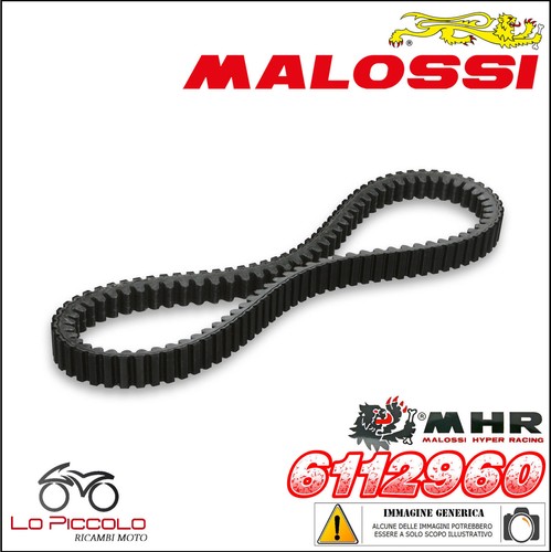 6112960 belt malossi - 6112960, x