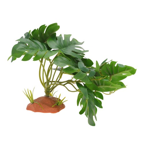 Capastec vivarium plants - vivarium,