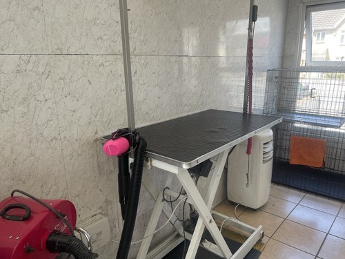 Dog grooming table - dog, electric