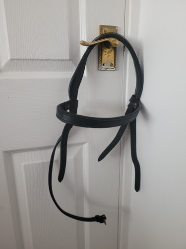 Practical horse company - horse,